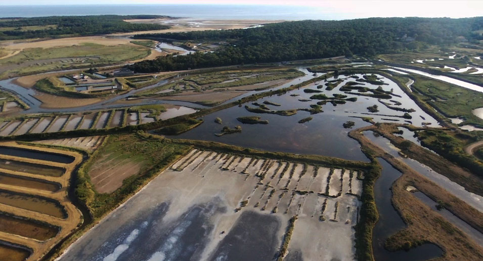 Présentation des marais salants