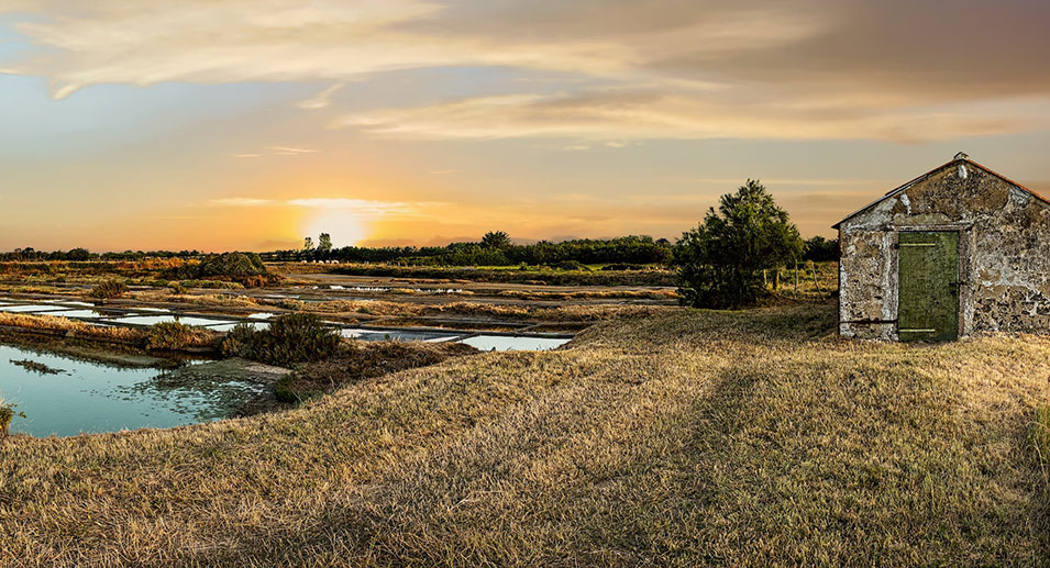 Visite des marais salants de la Guitti&egrave;re &agrave; Talmont Saint Hilaire