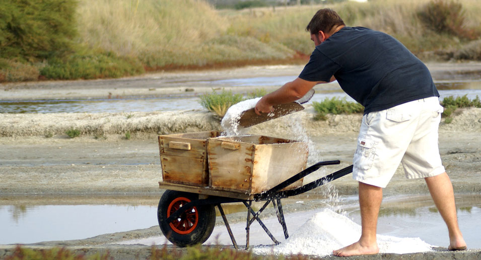 Présentation des marais salants